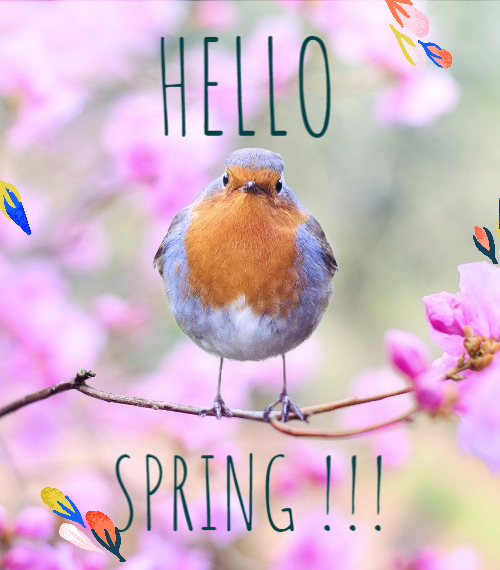 Hello Spring - Mobile